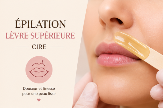 Lèvre supérieure